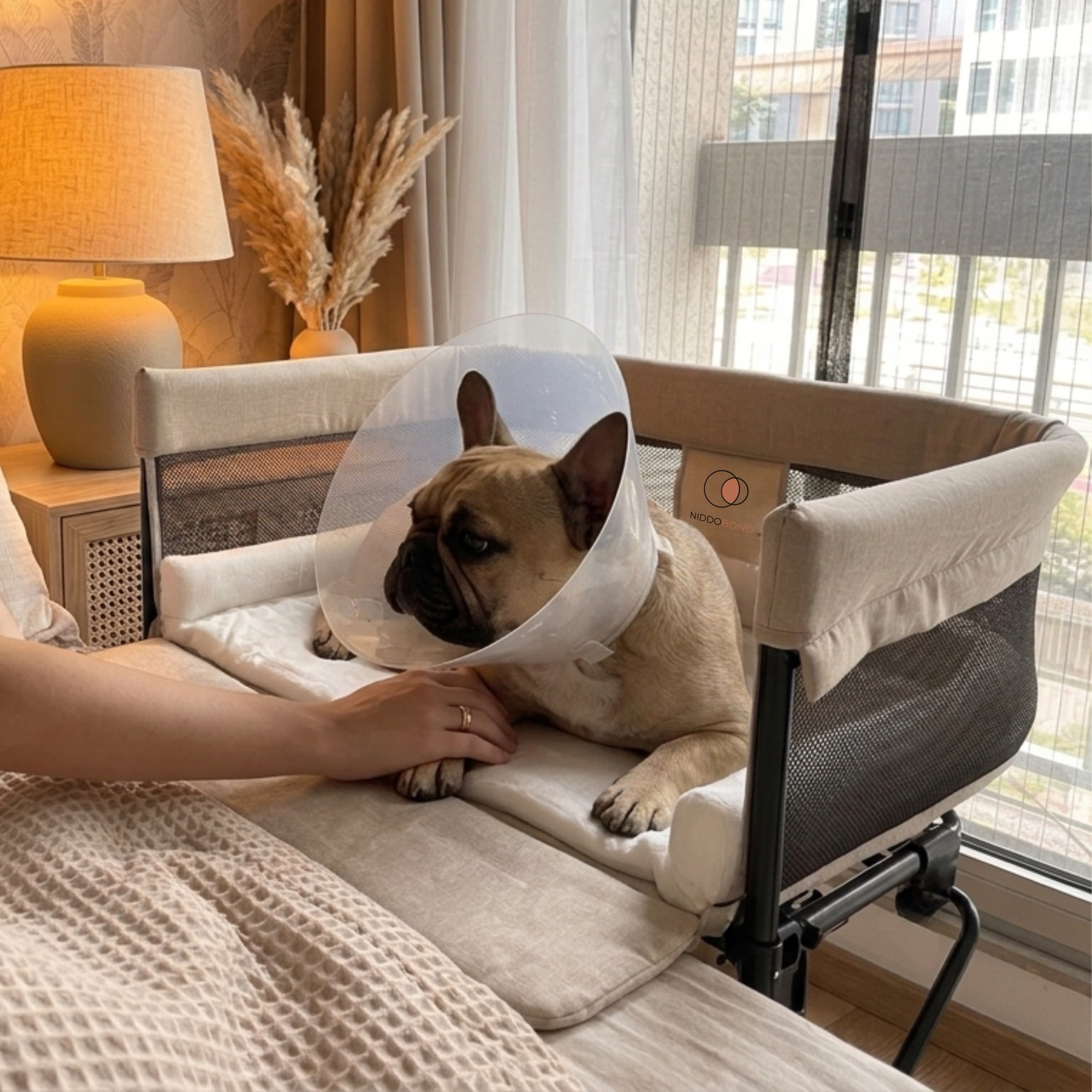 A recovering dog resting in the bedside co-sleeper
